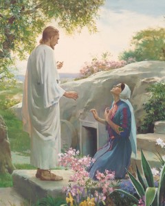 mormon-doctrine-christ